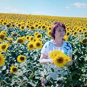 ���� ������, ������������, 59 ��� - ��������� 27 ������� 2026