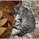 ���� �������, �����������, 45 ��� - ��������� 12 ������ 2025 � ������ ������ ��������