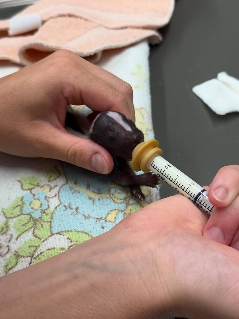  -    ?   !      ... - 6