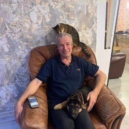 ����������, 62 ����, �����������