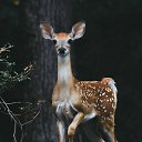 ���� ���, ������, 38 ��� - ��������� 3 ������� 2025