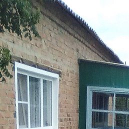 ����, �����������, 46 ���