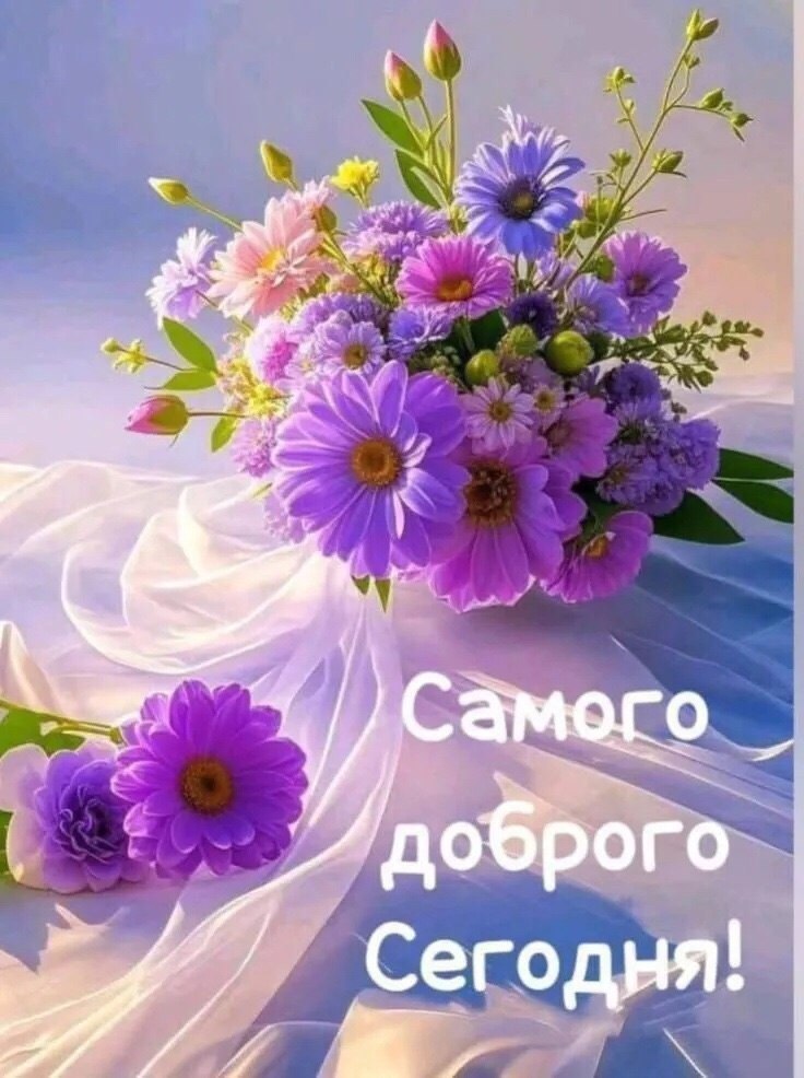 ��� ���� - 18 ������� 2026 � 12:24