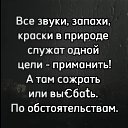  , , 52  -  24  2024    