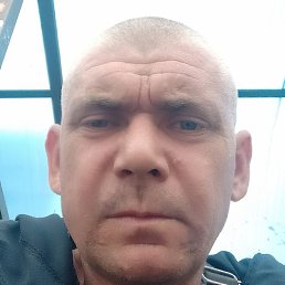 ����, �����-���������, 43 ����