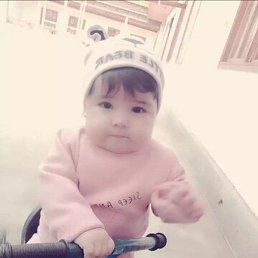 �������, �������, 36 ���