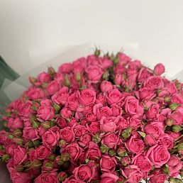 ���� �����, ������, 30 ��� - ��������� 10 ������ 2026