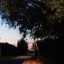 ���� ��������� ������������, �������, 36 ��� - ��������� 7 ������ 2026