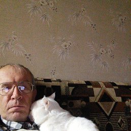 �������, 67 ���, ���������