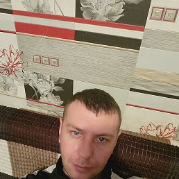 �����, �����������, 36 ���