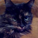 ���� ����, �����, 65 ��� - ��������� 29 ������ 2025 � ������ ������ ��������