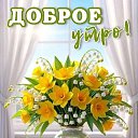 ���� ������, ������ �����, 63 ���� - ��������� 7 ��� 2026