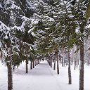 ���� ����, ������, 69 ��� - ��������� 19 ��� 2025 � ������ ���� ����������