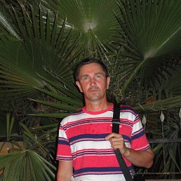 ���� �����, ����������� - ��������� 13 ������ 2026