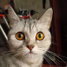 ���� ����.., ������-���, 49 ��� - ��������� 2 ������ 2025