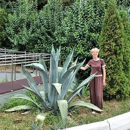 ������, �����, 56 ���