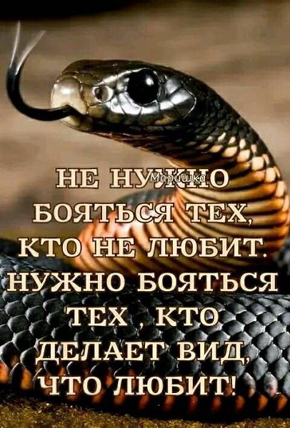 ₪╬═►  ||  ||  ◄═╬₪ - 26  2024  08:14