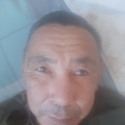 , 51, 