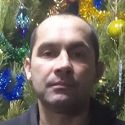 �������, ������, 42 ����