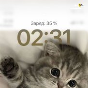 ���, 18 ���, �����