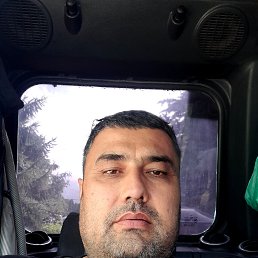 , 44, 