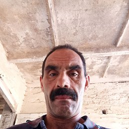 , 46, 