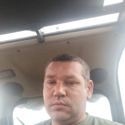 , 37, 