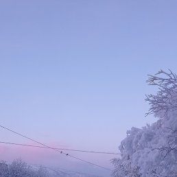 Suhrab, ��������, 31 ���