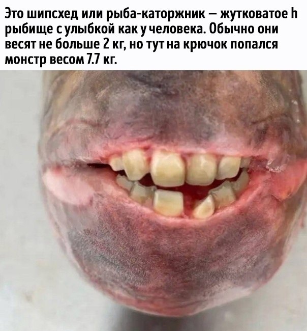     - 2