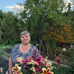 ���� ������, ������������, 64 ���� - ��������� 24 ������ 2026