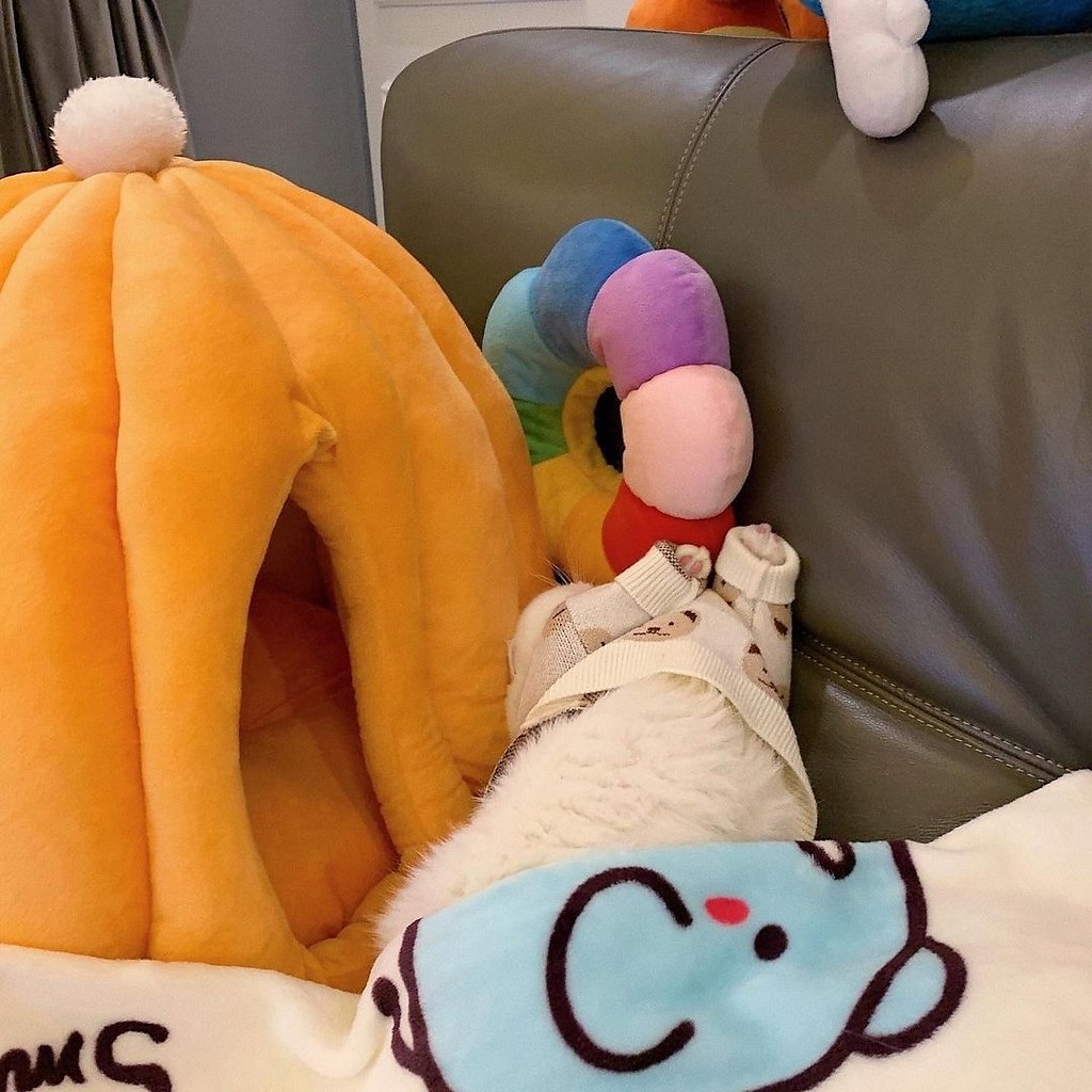 ��� ��� �������� :3 - 5