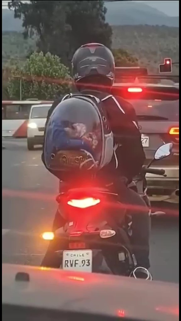 a�a� o��pa���e���a� co�a�a. �e�ep� oc���e�. ��e�� ��a�, ����o �a �ec� ��p cep���c� �oc�o���o. ����� ...