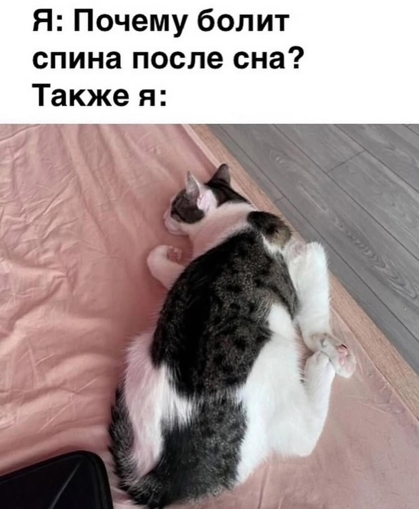  , .   ,      ...