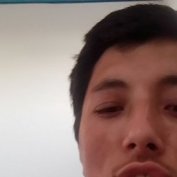 , 25, 