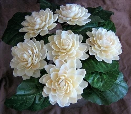 Эти цветочные композиции из ракушек — настоящее искусство, в котором природа соединяется с ... - 2