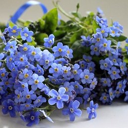 �����, ������, 44 ����