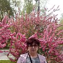 ���� ������, ���������, 59 ��� - ��������� 16 ������� 2026 � ������ ���� ����������