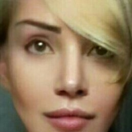 �����, ������, 49 ���