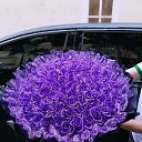 ���� ����, �����������, 26 ��� - ��������� 25 ������ 2025 � ������ ���� ����������