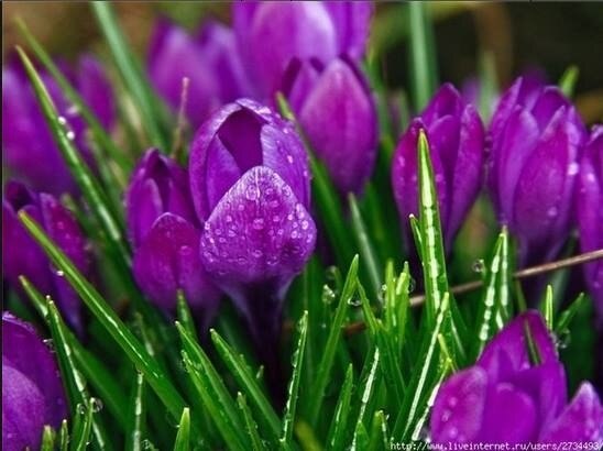 ���� ! ..................