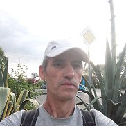 , 55 , 