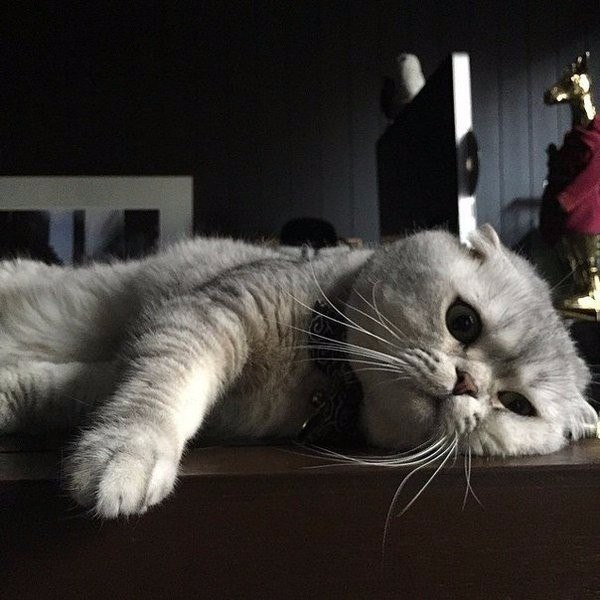 ����������: �������� �������������...