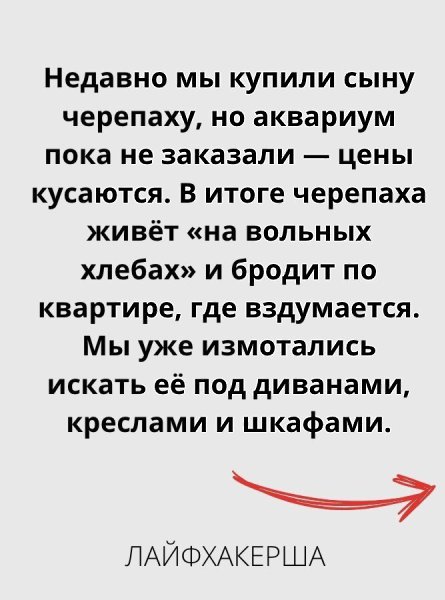 ���������� ���� - 25 �������� 2025 � 16:12