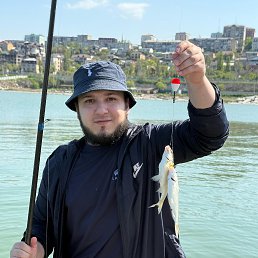 �����, 24 ����, ���������