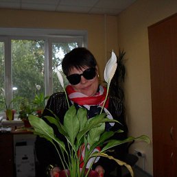 Olga, ������