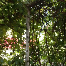 ��������� ��������, ������, 42 ����