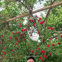 Faizyllo, 53, 