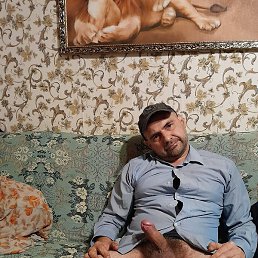 ������, �������, 44 ����