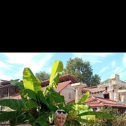 ���� ������, ������, 54 ���� - ��������� 25 ���� 2025