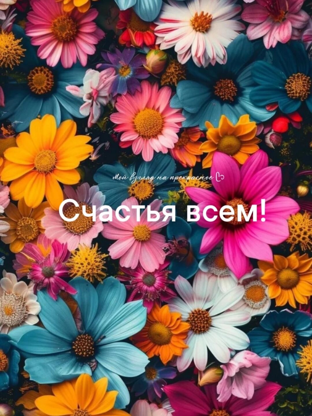  - 16  2024  06:36